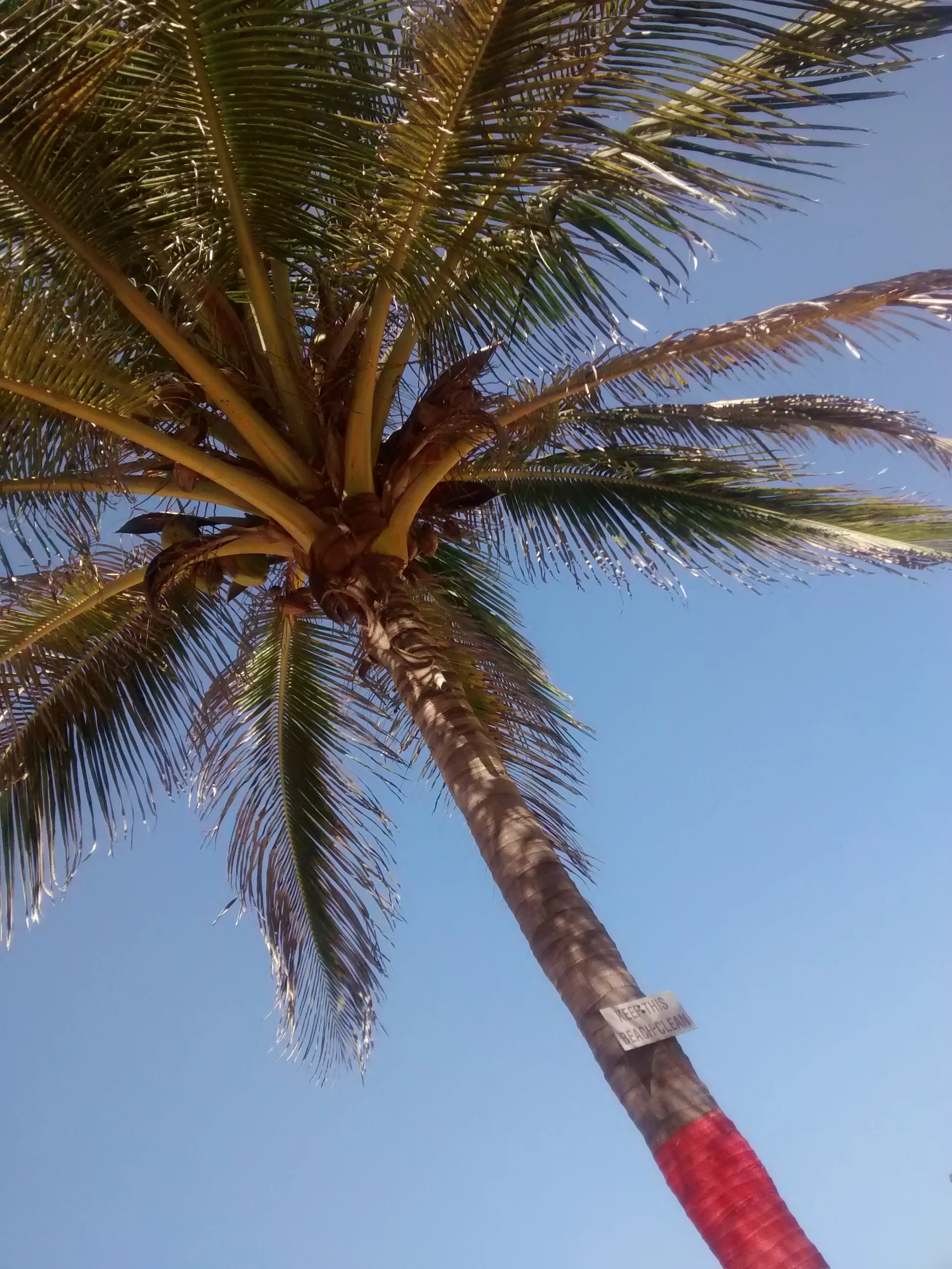 Keep this beach clean.